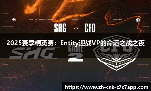 2025赛季精英赛：Entity迎战VP的命运之战之夜